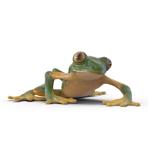 3d tree frog rigged model