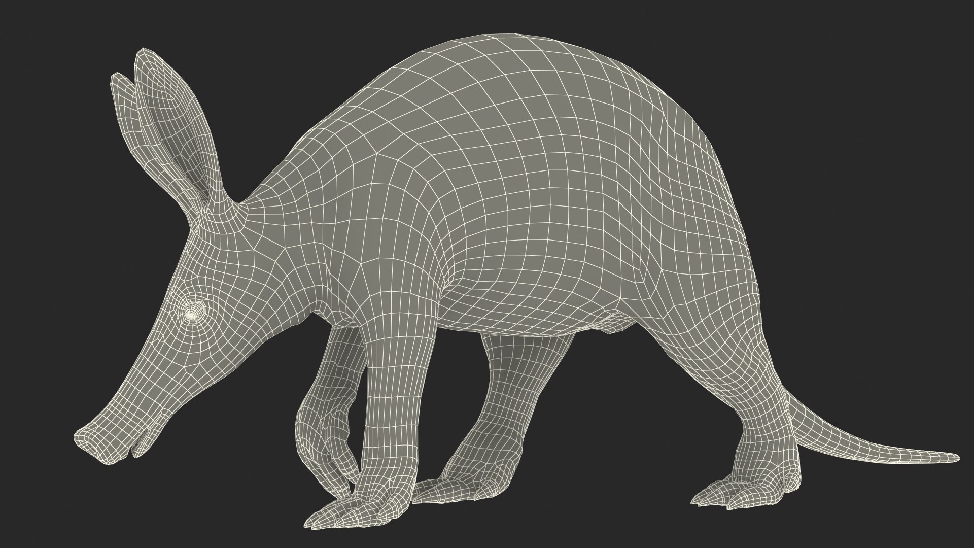 3D Mammal Aardvark Walking Pose - TurboSquid 2180381