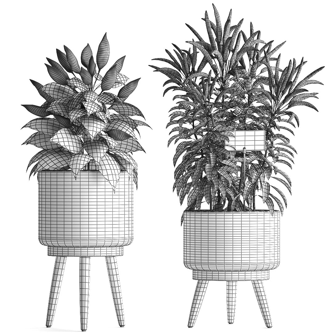 Decorative Plants Kitchen Pepper 3D Model TurboSquid 1487941