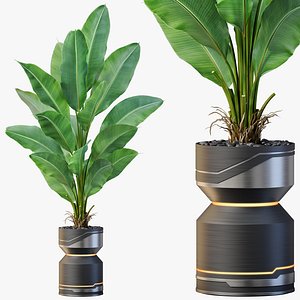 3D Plants collection 875
