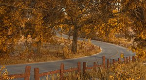 Autumn Road Forest