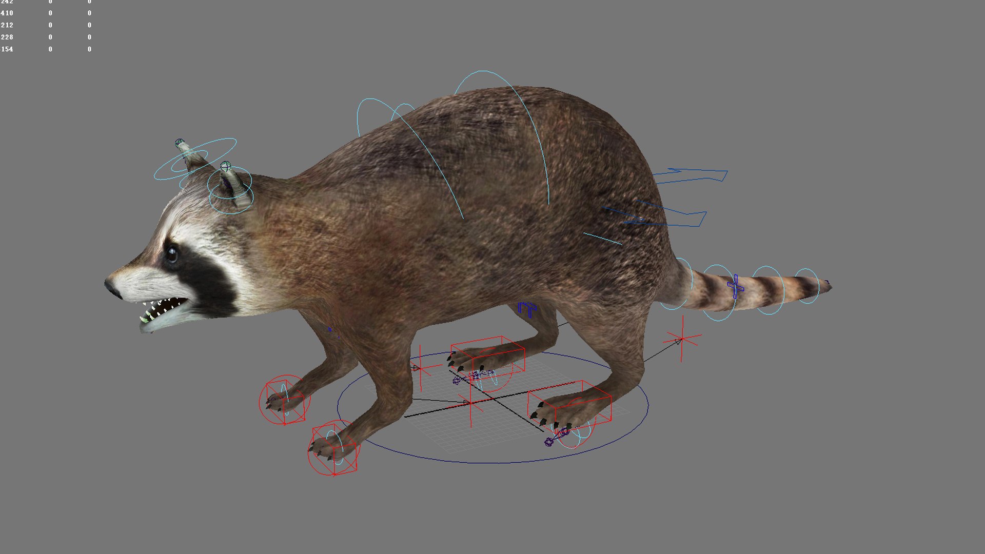 3D Raccoon Racoon Animal Rodent Mammal Coon Forest Animal Model ...