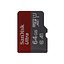 Carte Micro SD