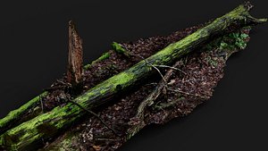 broken tree wet mossy trunk PBR photogrammetry model