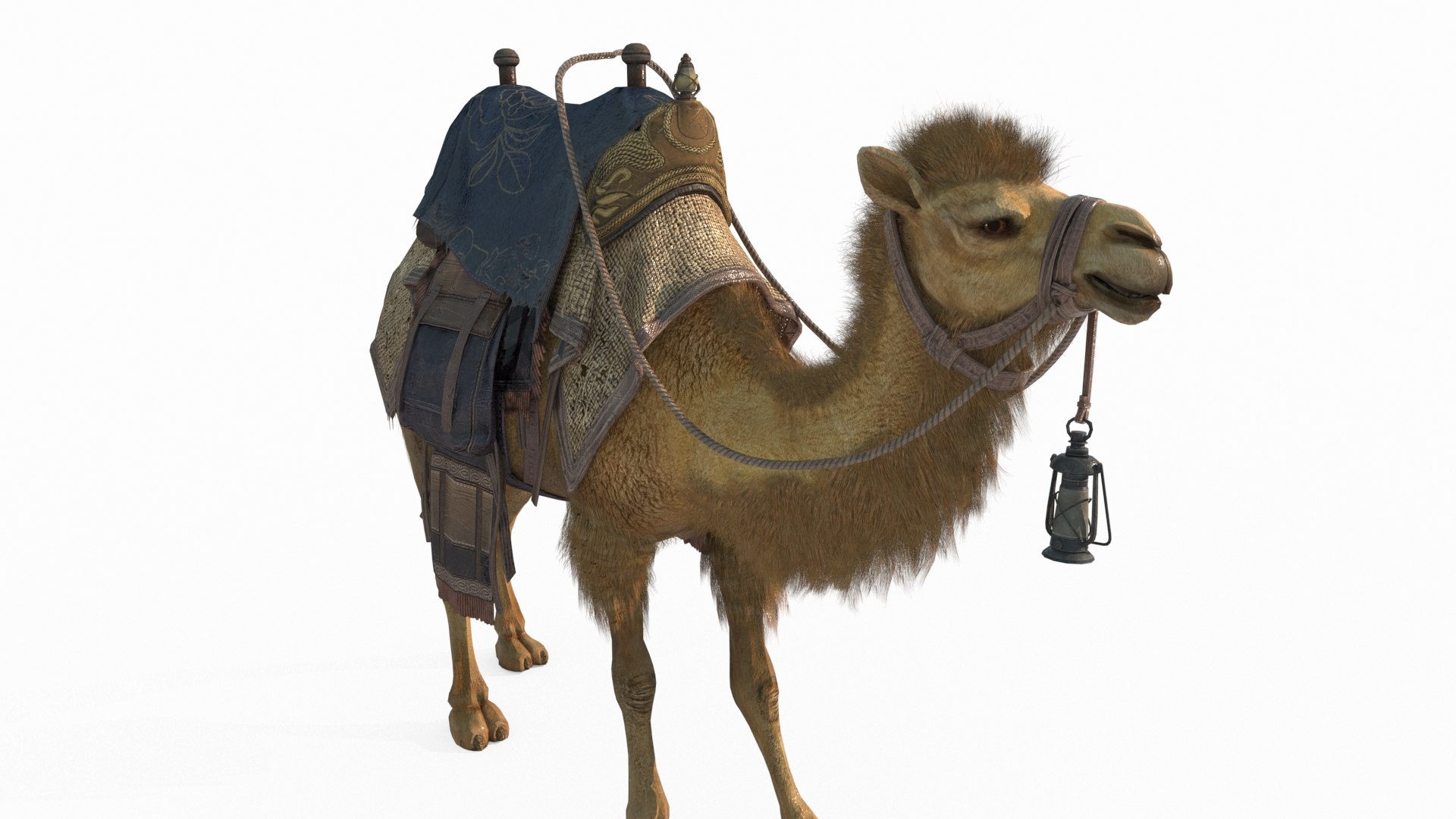 3D Mammalian Desert Camel Ride model https://p.turbosquid.com/ts-thumb/0q/6YcZFK/4s/4/jpg/1788781238/1920x1080/fit_q87/311136cf464c7248e59b371900d88085f952e4f9/4.jpg