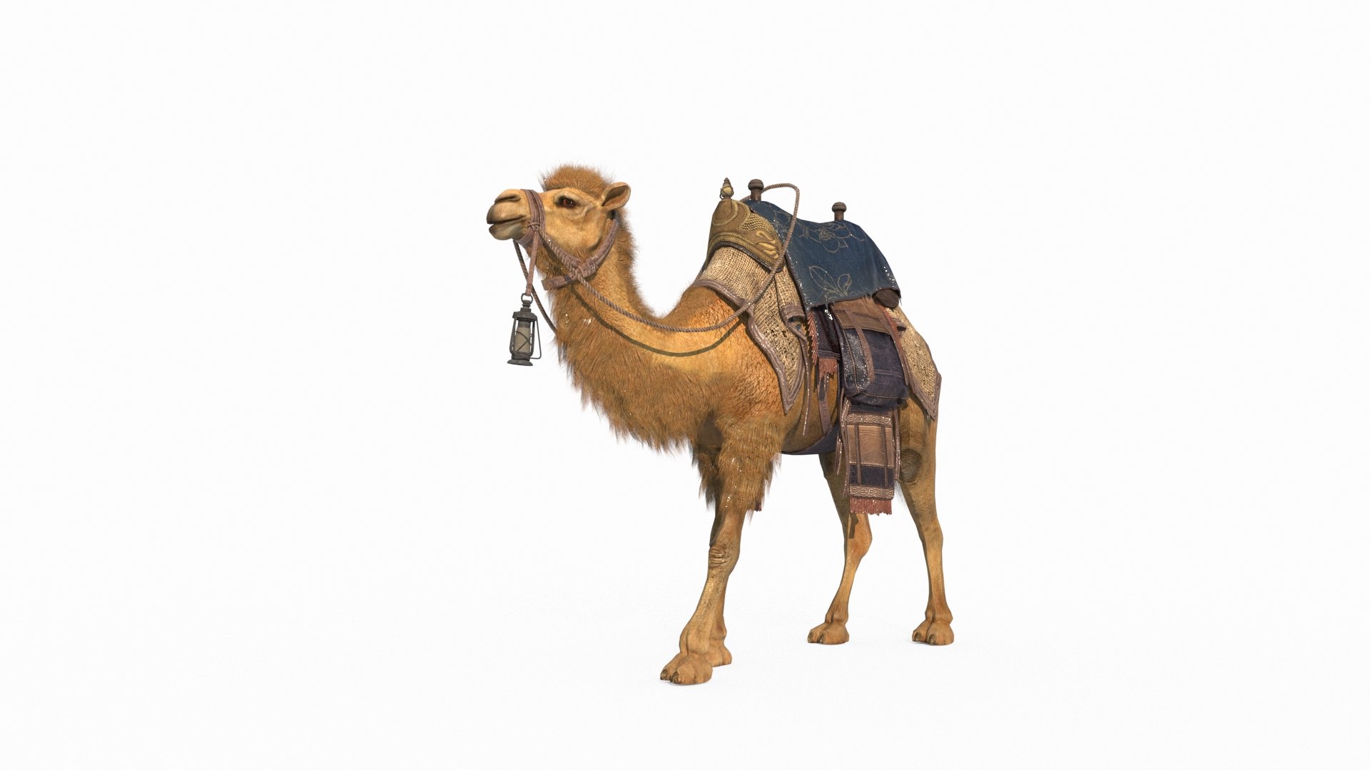 3D Mammalian Desert Camel Ride model https://p.turbosquid.com/ts-thumb/0q/6YcZFK/H1/2/jpg/1788781237/1920x1080/fit_q87/560eb8408508827999bddbf9adc2227ddfdbb514/2.jpg