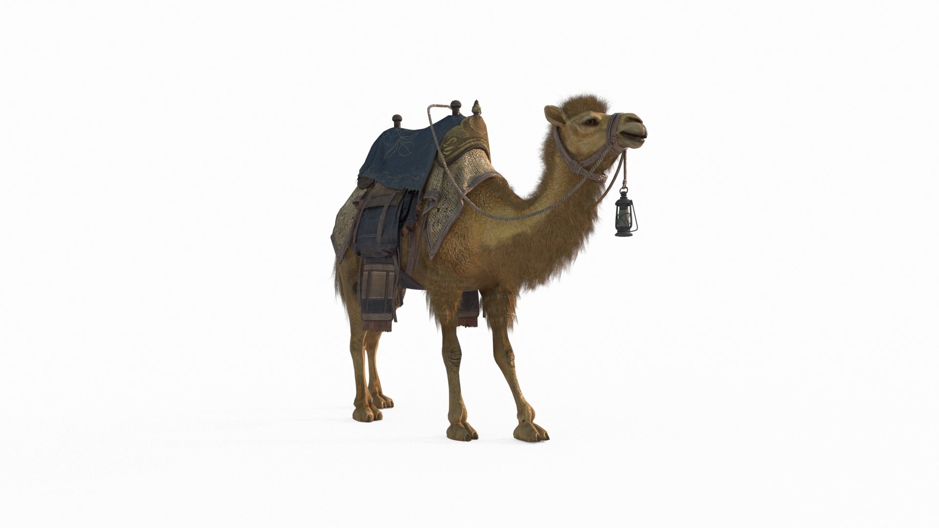 3D Mammalian Desert Camel Ride model https://p.turbosquid.com/ts-thumb/0q/6YcZFK/Pf/1/jpg/1788781236/1920x1080/fit_q87/e9591dd0e044ea29ee55892e7d438f9af520bb6a/1.jpg