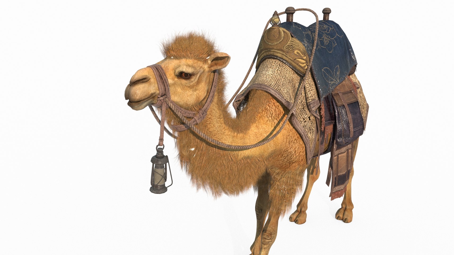 3D Mammalian Desert Camel Ride model https://p.turbosquid.com/ts-thumb/0q/6YcZFK/SL/3/jpg/1788781237/1920x1080/fit_q87/1196e9c00589ea651e181cdad3d1b5f174a53d7c/3.jpg