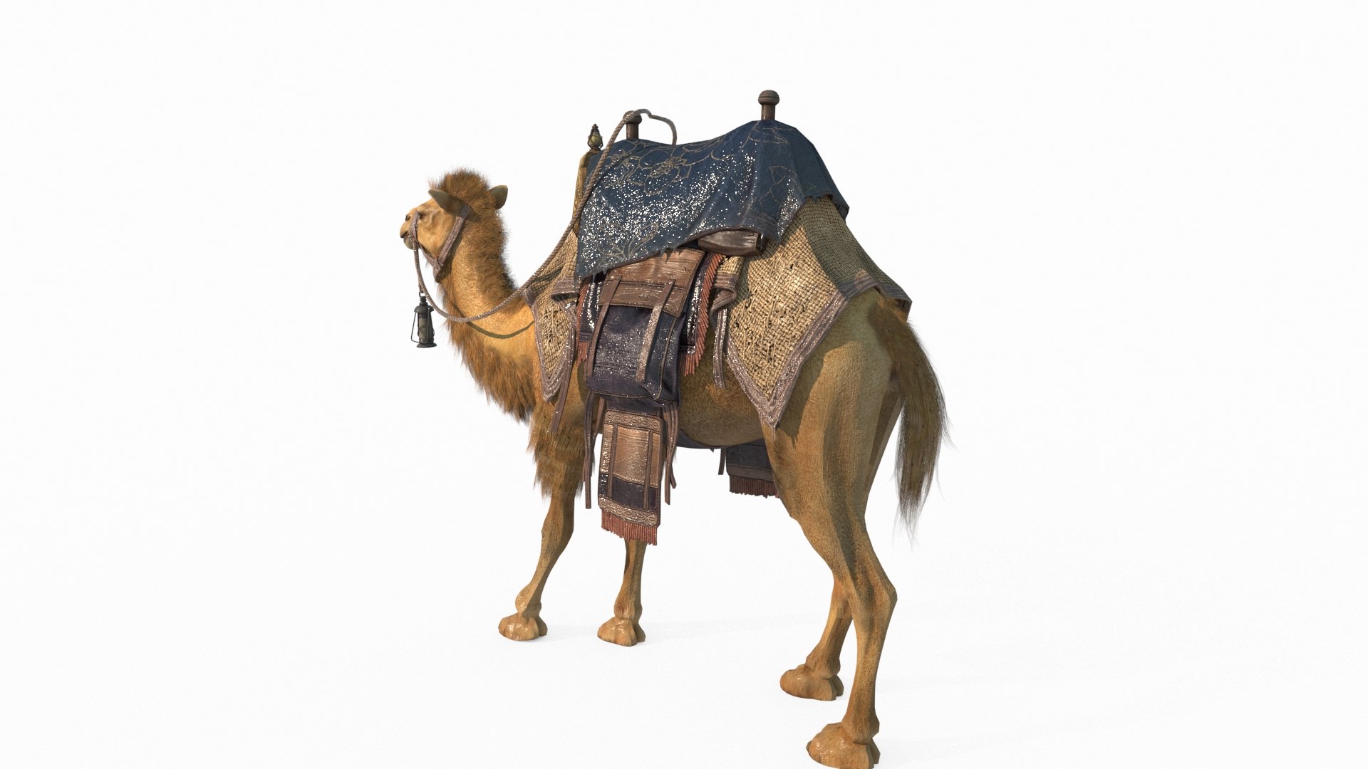 3D Mammalian Desert Camel Ride model https://p.turbosquid.com/ts-thumb/0q/6YcZFK/i7/5/jpg/1788781241/1920x1080/fit_q87/e42d9cdb9e7dc3f864fd9db464c31ff399a9f0aa/5.jpg
