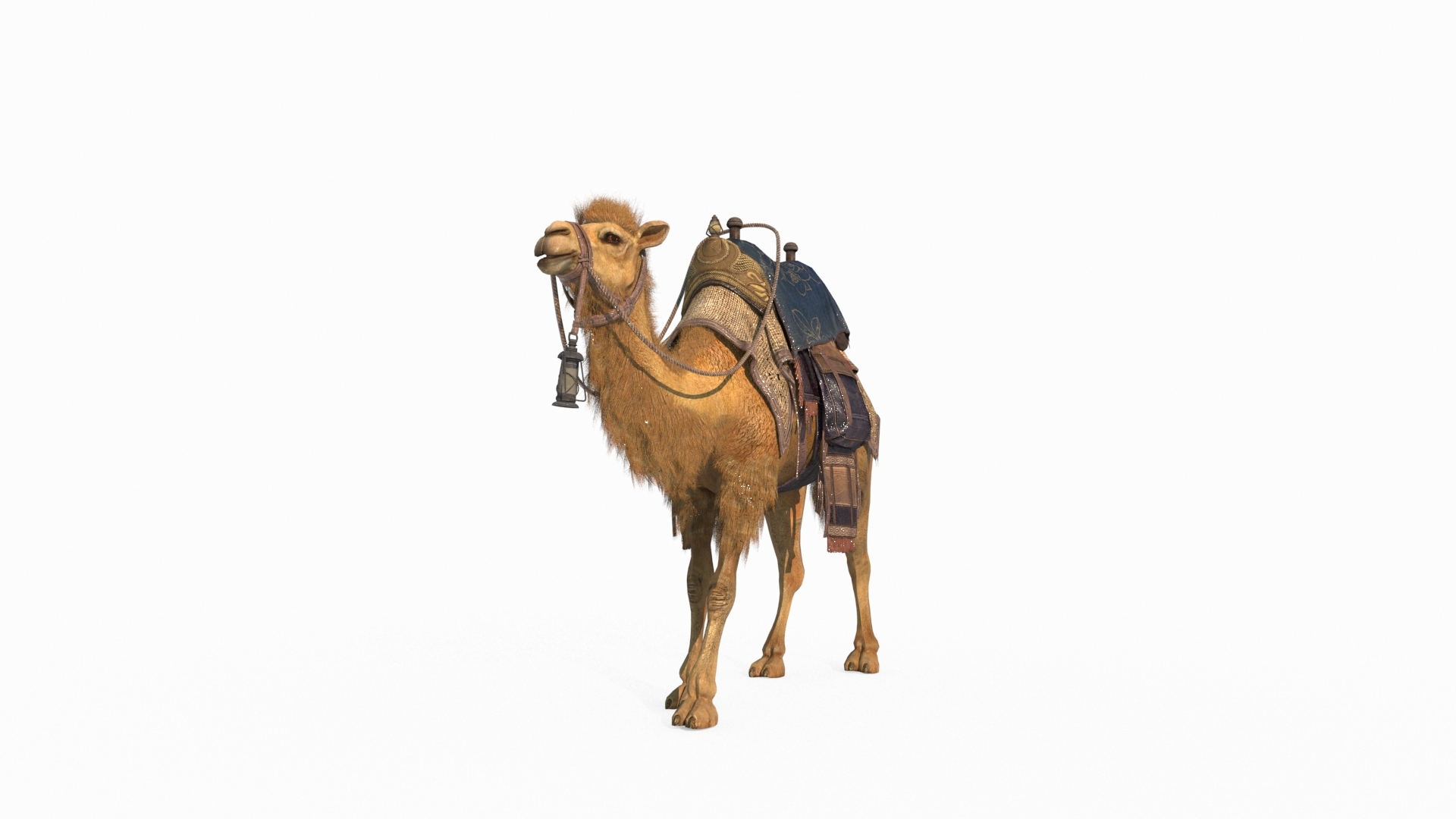 3D Mammalian Desert Camel Ride model https://p.turbosquid.com/ts-thumb/0q/6YcZFK/zH/a/jpg/1788781207/1920x1080/turn_fit_q99/fe79cca5a11f781a2220d83c0c1d0c1b3678d84b/a-1.jpg