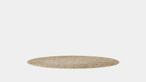 Round Rug 3D model