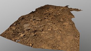 3D Forest Path