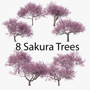 Sakura High Poly 01-08 Collection