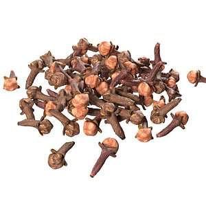 Cloves pile 3D model