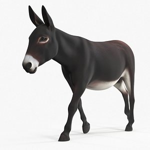 3D Domestic Donkey Animal Dark Brown Rigged model