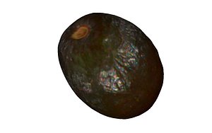 3D model avocado scan real