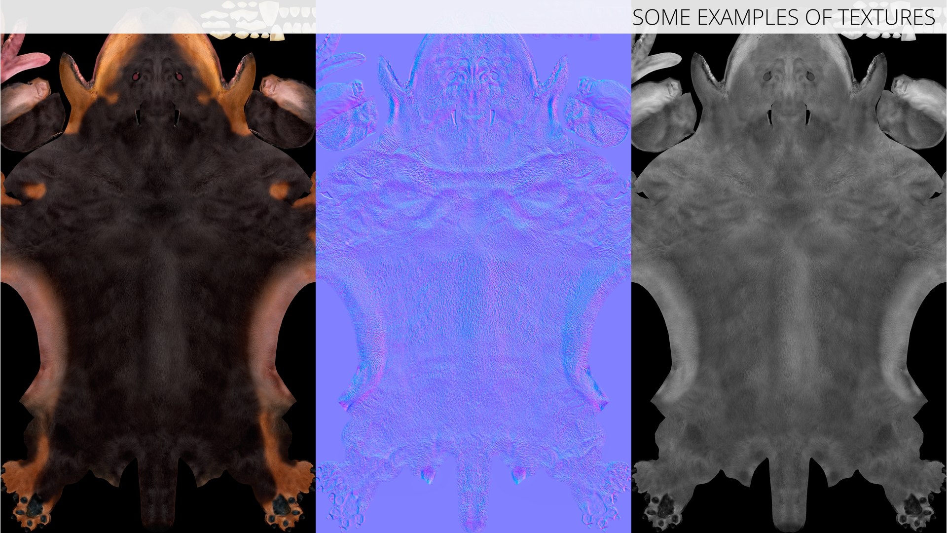 3D Small Breed Long Dog with Droopy Ears Black Rigged https://p.turbosquid.com/ts-thumb/0q/K7eTOo/nj/small_breed_long_dog_with_droopy_ears_black_rigged_014/jpg/1755834945/1920x1080/fit_q87/ab94ab5ae1ab6ac65a0c6ad49f0de94a17d4e6b9/small_breed_long_dog_with_droopy_ears_black_rigged_014.jpg