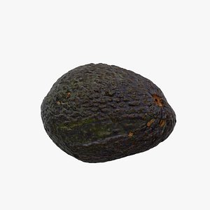 Avocado 3D model