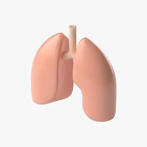 Lungs Cartoon Stylized 3D model