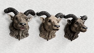 Goat Heads with Spiral Horns 3D model