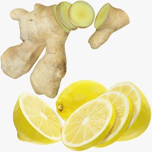 Ginger and Lemon Collection V5 3D model