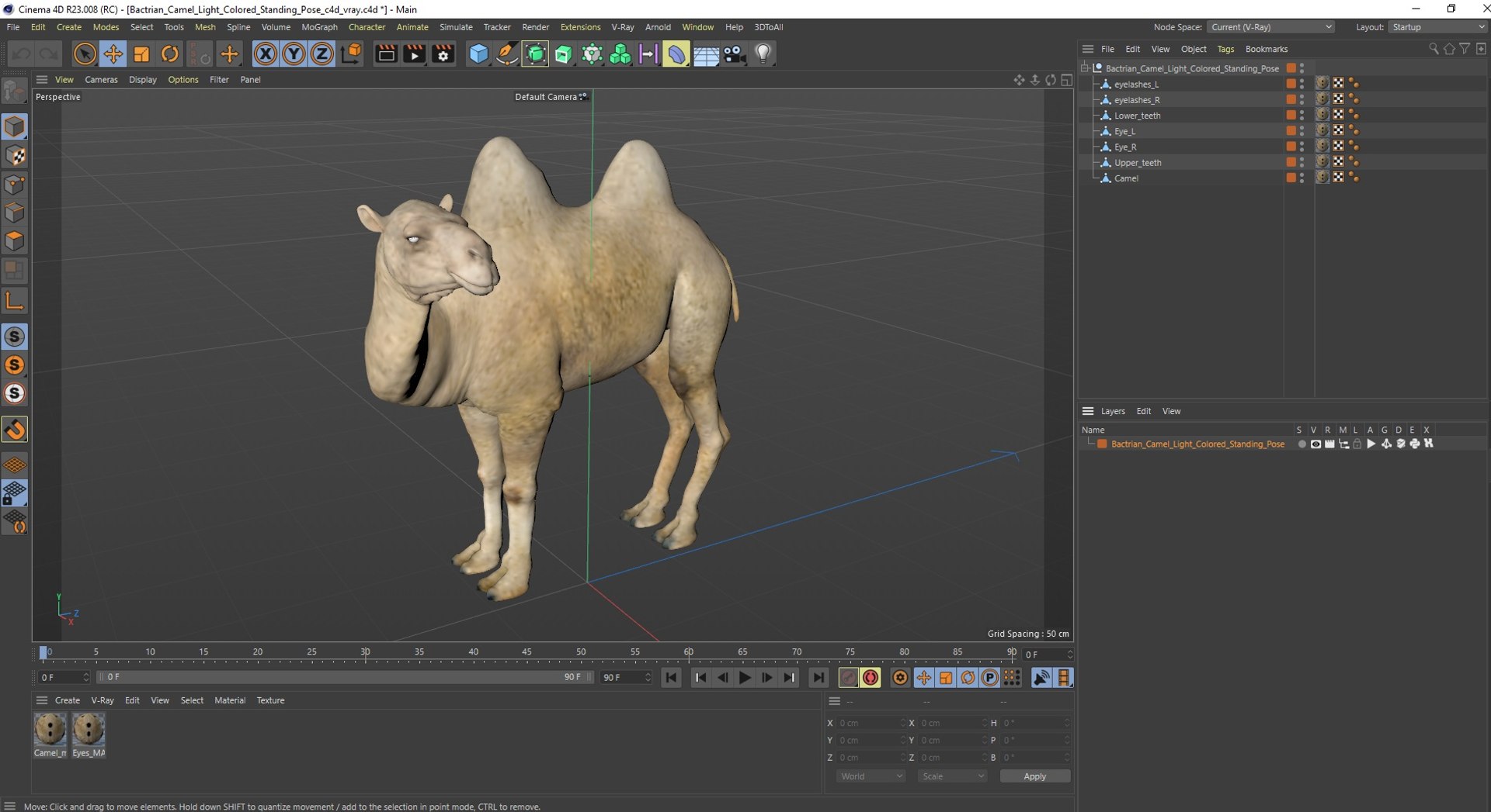 3D Bactrian Camel Light Colored Standing Pose https://p.turbosquid.com/ts-thumb/0q/hMklgF/TA/bactrian_camel_light_colored_standing_pose_1003/jpg/1724832777/1920x1080/fit_q87/ad2769037f7f7e9bb144a5aa09150813d913a6cd/bactrian_camel_light_colored_standing_pose_1003.jpg