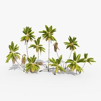 Coconut Palm Trees Asset 1