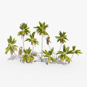Coconut Palm Trees Asset 1