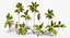 Coconut Palm Trees Asset 1