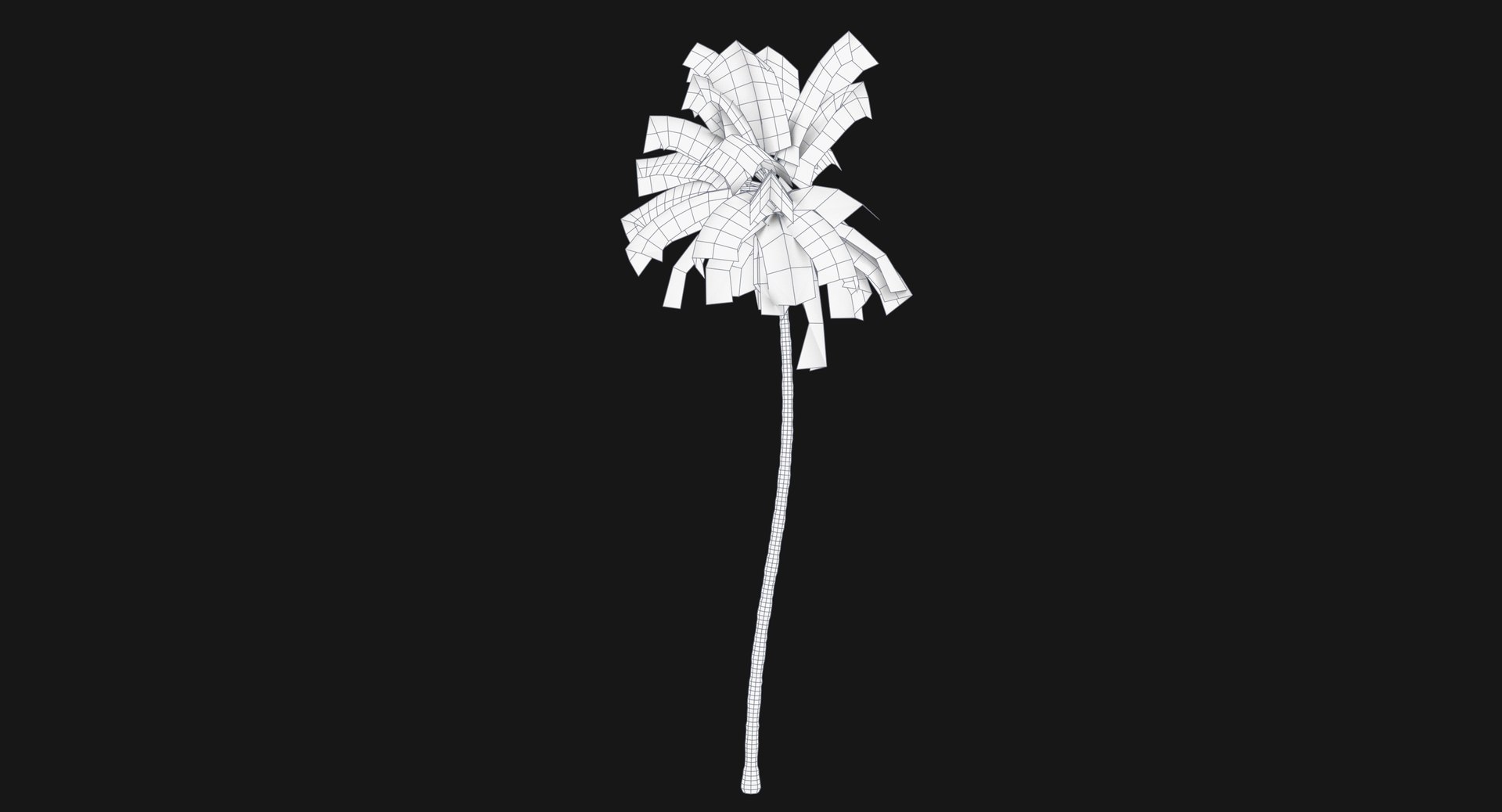 3D cocos coconut palm tree tropical model https://p.turbosquid.com/ts-thumb/0q/sB5Cbl/ZnWQMVCR/cocosnuciferalod00001/jpg/1524431745/1920x1080/fit_q87/9129fbe40937b39515fa3788d896fb397889a584/cocosnuciferalod00001.jpg