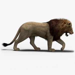 3D model photo realistic lion 3
