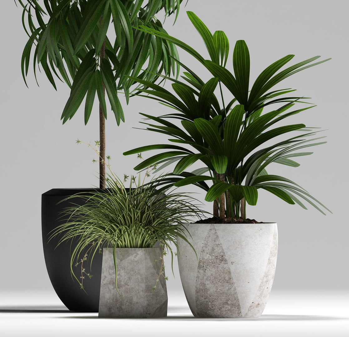 3D plants set 134 - TurboSquid 1215573