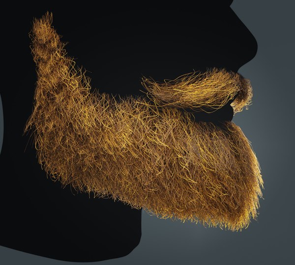 3D Beard RealTime 18 Version 2