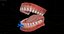 Realistic rigged mouth with gums teeth and tongue 3D model