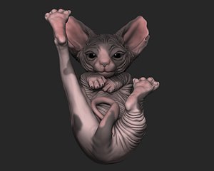Baby Sphynx Cat 3D Print  Model