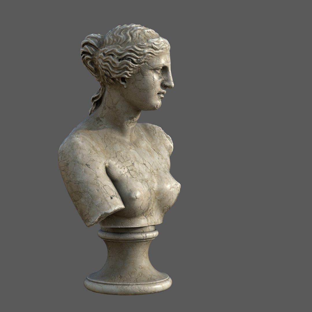 Venus de Milo Bust Classical Marble Sculpture 3D model https://p.turbosquid.com/ts-thumb/0r/O3uTSU/qs/__r3/jpg/1744748264/1920x1080/fit_q87/e0881e318db7d06a2fb014b69c4aa7606cf014c5/__r3.jpg