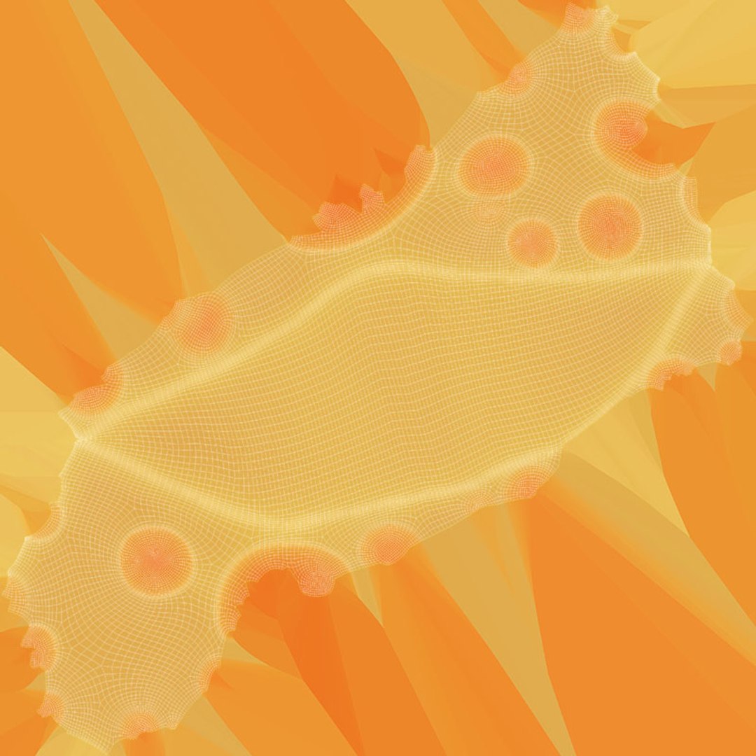 Stylized Cheese Collection 3D model https://p.turbosquid.com/ts-thumb/0r/PSgn4s/iE/stytrianglecheese2_d0004/jpg/1737196976/1920x1080/fit_q87/10f22e5c66e4f423af0447a67d631b14990e9fe0/stytrianglecheese2_d0004.jpg