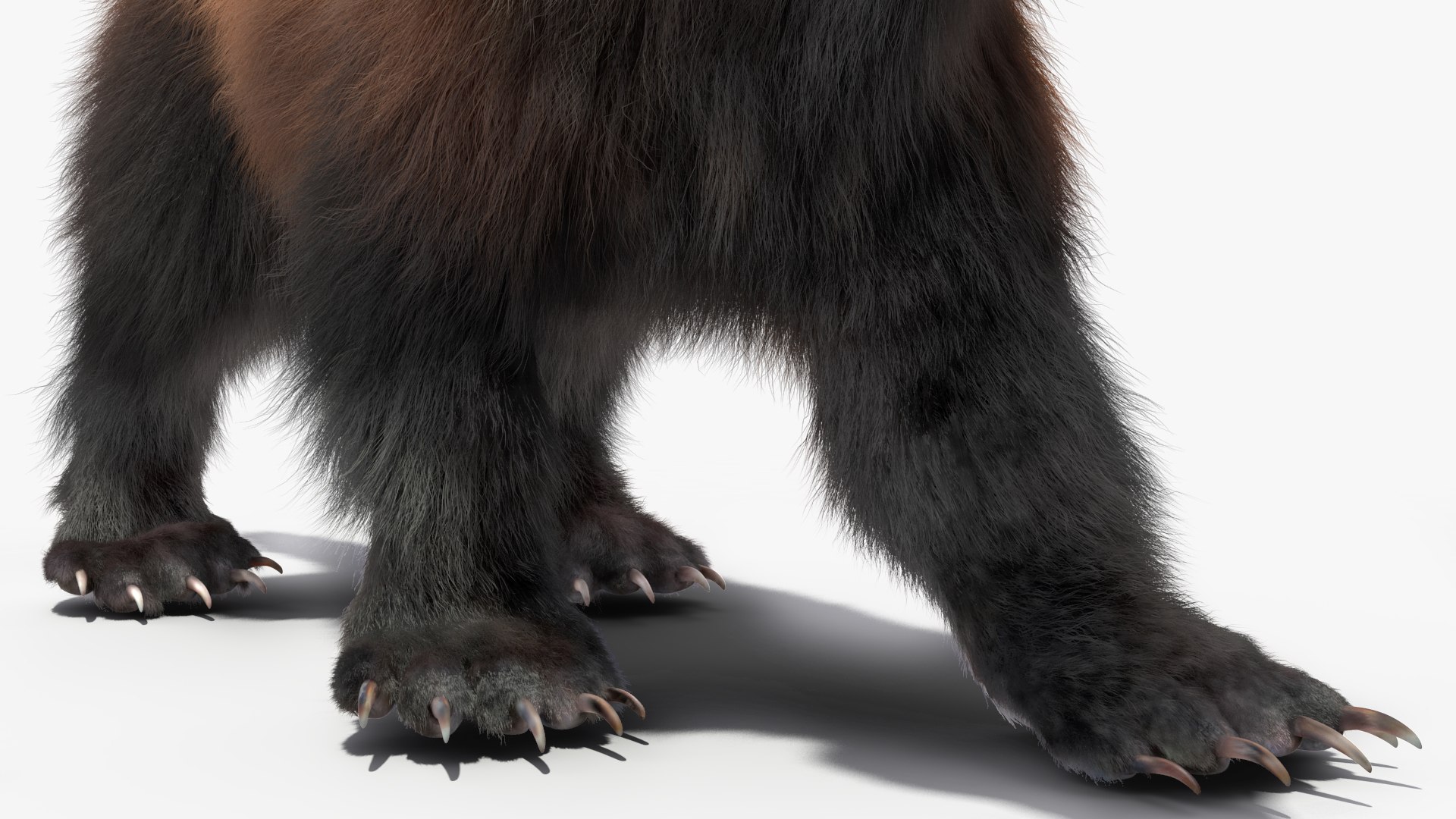 Wolverine Dark Color Walking Pose Fur 3D Model - TurboSquid 2157511