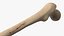 Human Femur Bone Anatomy
