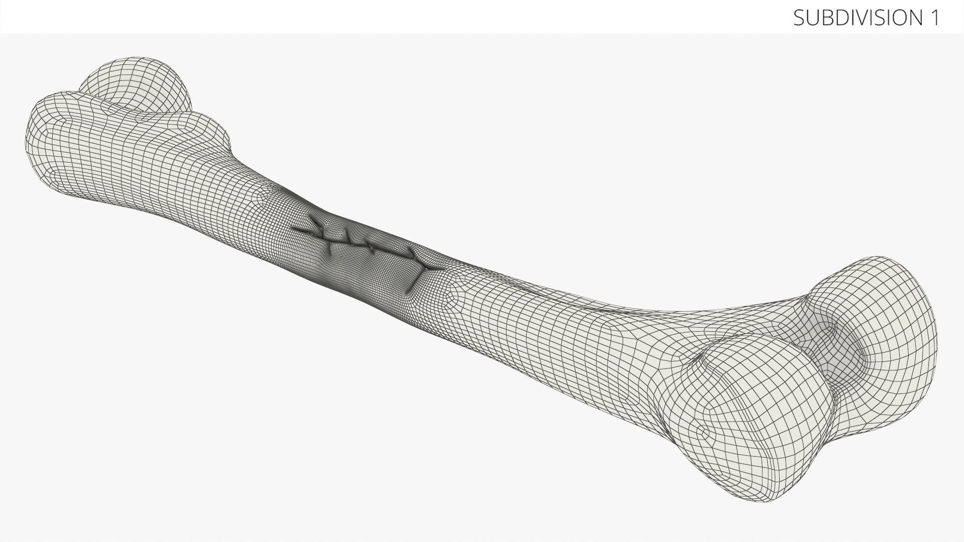 3D Human Femur Bone Anatomy https://p.turbosquid.com/ts-thumb/0r/d9NYAy/Iq/human_femur_bone_anatomy_012/jpg/1782796087/1920x1080/fit_q87/e519b2586aa1dc91682c372b8fdf5bc8eefd36be/human_femur_bone_anatomy_012.jpg