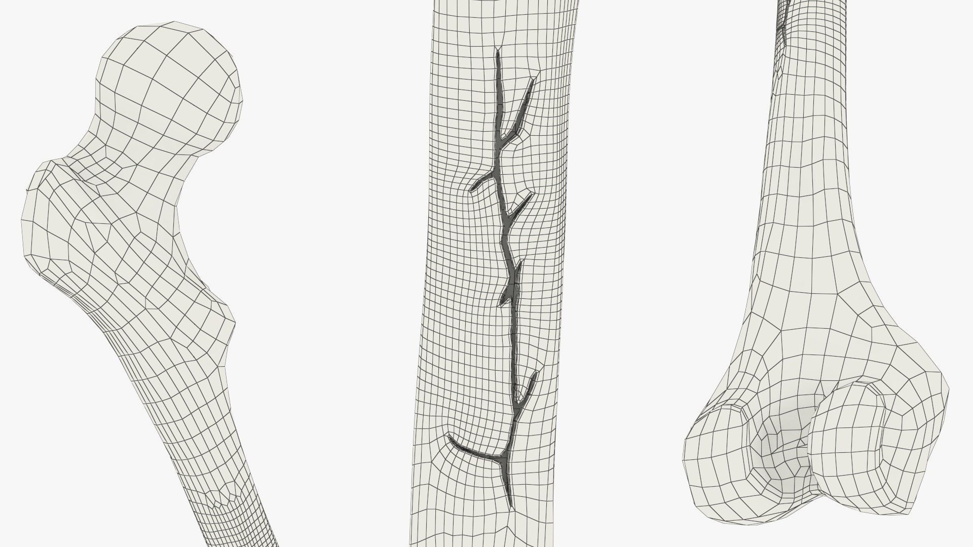 3D Human Femur Bone Anatomy https://p.turbosquid.com/ts-thumb/0r/d9NYAy/M4/human_femur_bone_anatomy_013/jpg/1782796089/1920x1080/fit_q87/0bef25d40532fb006d7796174ff2b6c8c64b99d9/human_femur_bone_anatomy_013.jpg