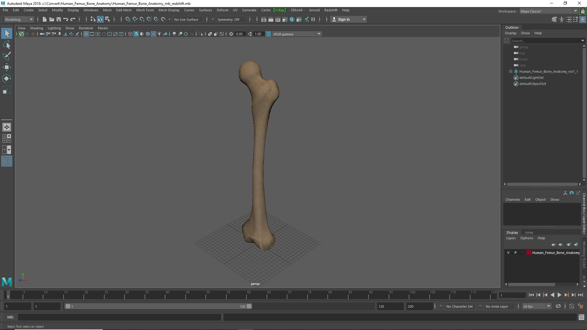 3D Human Femur Bone Anatomy https://p.turbosquid.com/ts-thumb/0r/d9NYAy/MN/human_femur_bone_anatomy_1002/jpg/1782796102/1920x1080/fit_q87/37b6e5626c98d133dc3bbafd70ce1630e9dd81ad/human_femur_bone_anatomy_1002.jpg