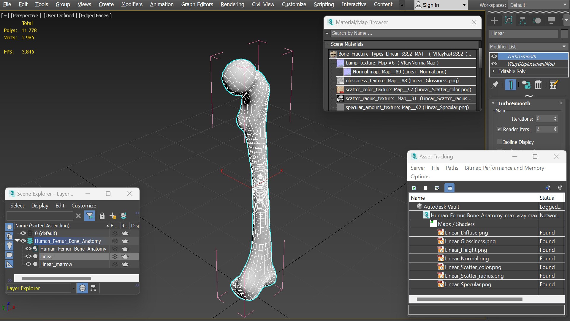 3D Human Femur Bone Anatomy https://p.turbosquid.com/ts-thumb/0r/d9NYAy/Ot/human_femur_bone_anatomy_016/jpg/1782796097/1920x1080/fit_q87/27dd814c52d943110147a951cc8d597fe0ebf93d/human_femur_bone_anatomy_016.jpg