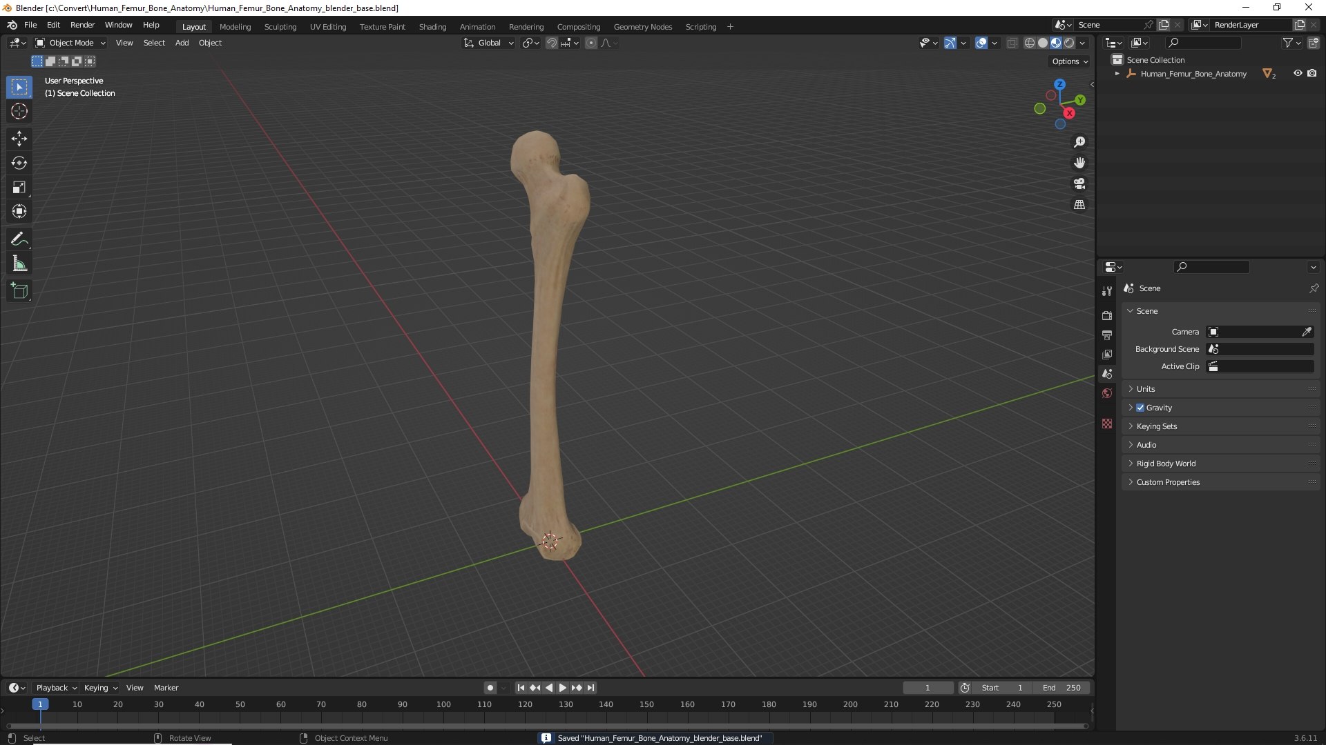 3D Human Femur Bone Anatomy https://p.turbosquid.com/ts-thumb/0r/d9NYAy/W6/human_femur_bone_anatomy_1001/jpg/1782796100/1920x1080/fit_q87/52b3f730be2e4a26ca86df2bdbd498564f6ad06a/human_femur_bone_anatomy_1001.jpg