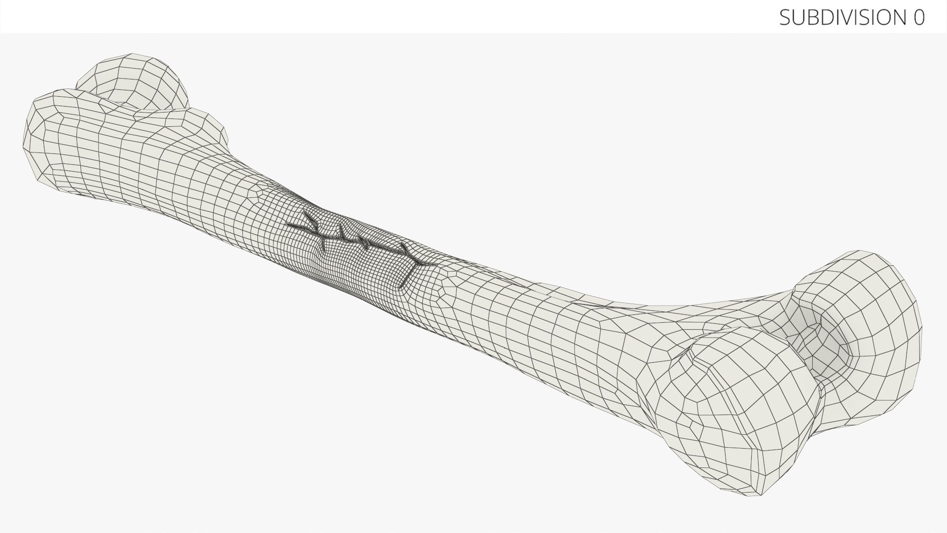 3D Human Femur Bone Anatomy https://p.turbosquid.com/ts-thumb/0r/d9NYAy/XB/human_femur_bone_anatomy_011/jpg/1782796084/1920x1080/fit_q87/e03a264a37ba89dce8e1d7424240c0bc747caaf0/human_femur_bone_anatomy_011.jpg