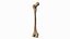 Human Femur Bone Anatomy