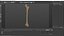 Human Femur Bone Anatomy