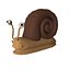 snail