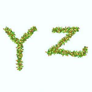 Y Z LETTERS model