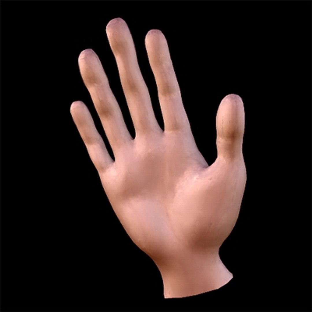 hand arm 3d max
